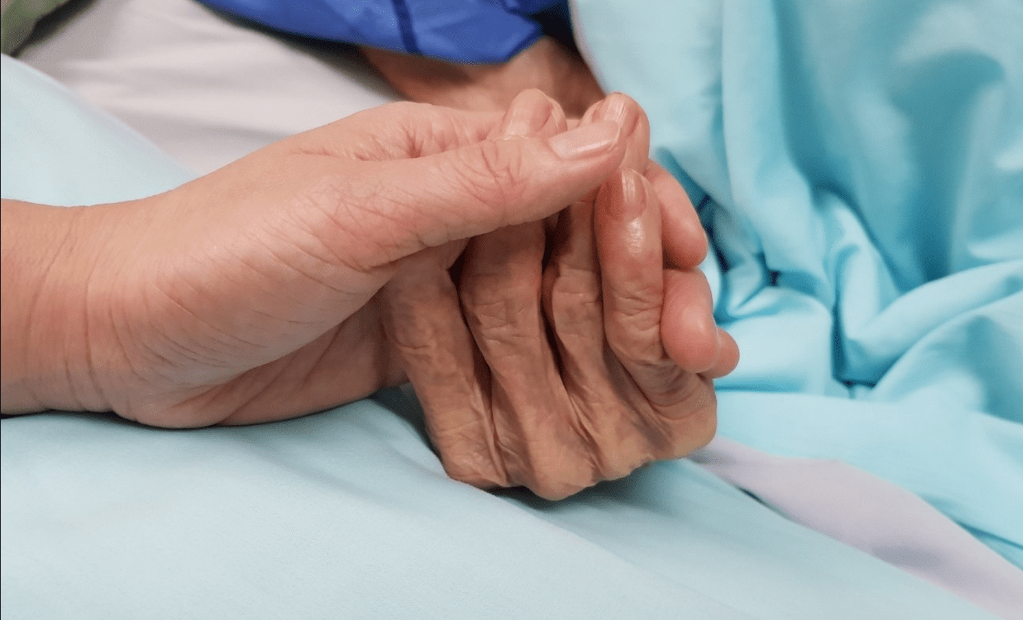 hospice care houston tx